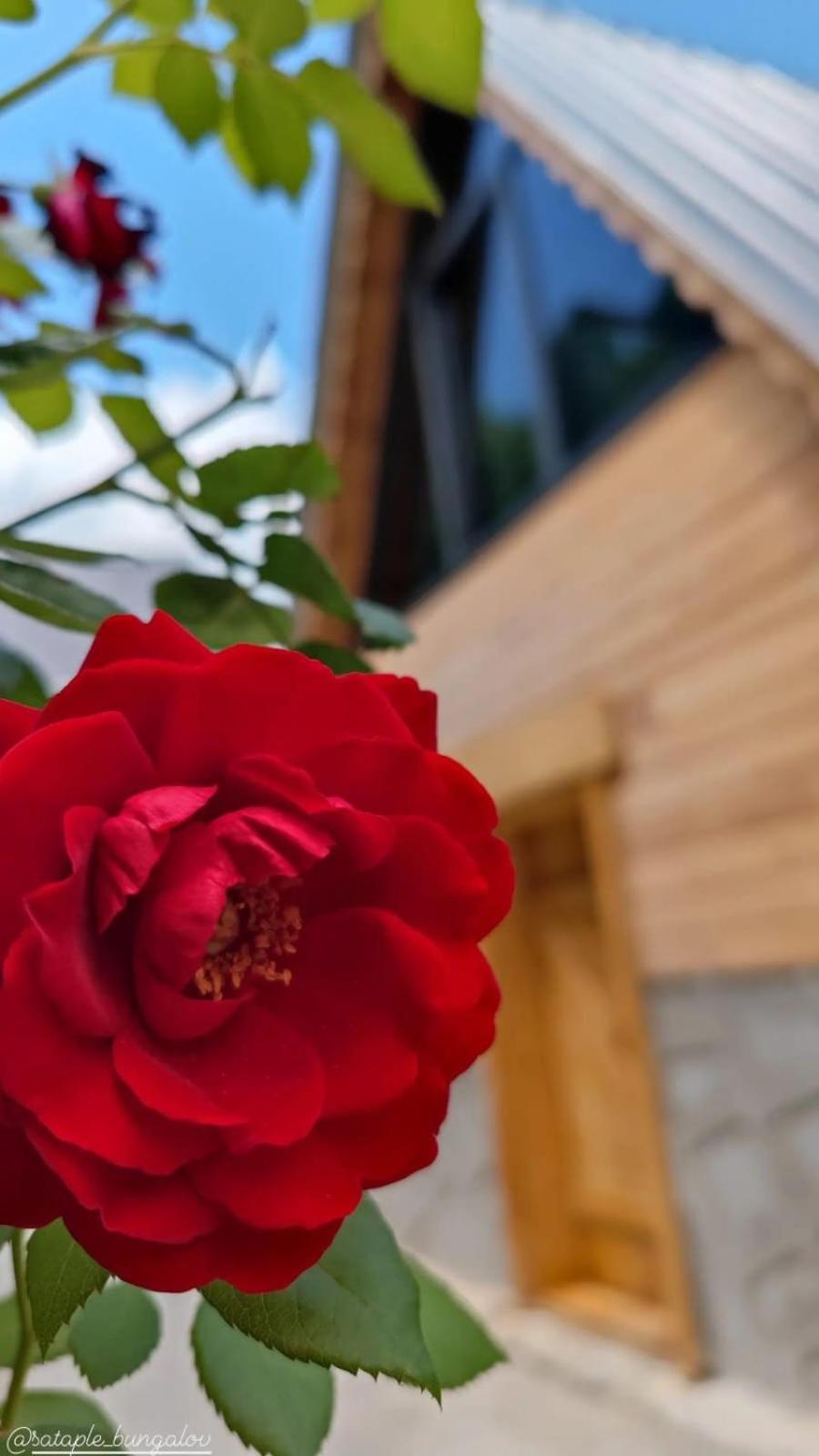 Çamlıhemşin Sataplebungalov מראה חיצוני תמונה